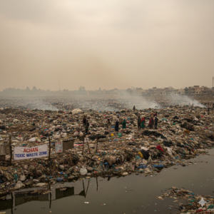 gemini generated image 2qt8qg2qt8qg2qt8